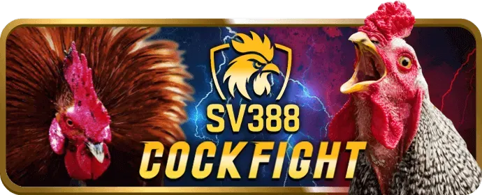 Bàn chơi Blackjack tại ibet link vào