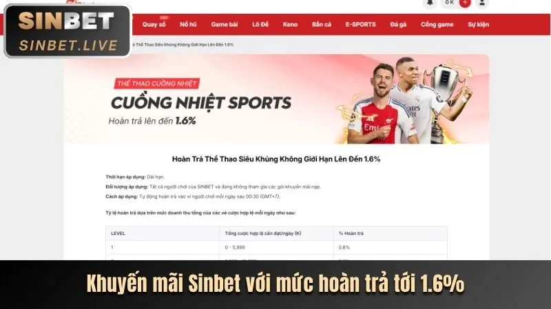 Cá cược quần vợt tại ibet